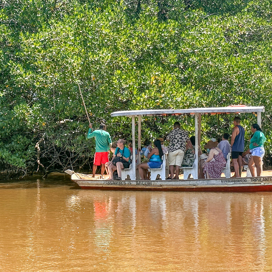 Passeio do peixe-boi em São Miguel dos Milagres