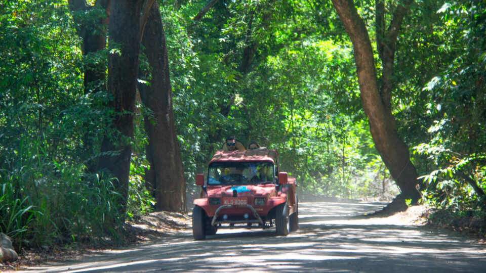 Passeio de buggy em Porto de Galinhas