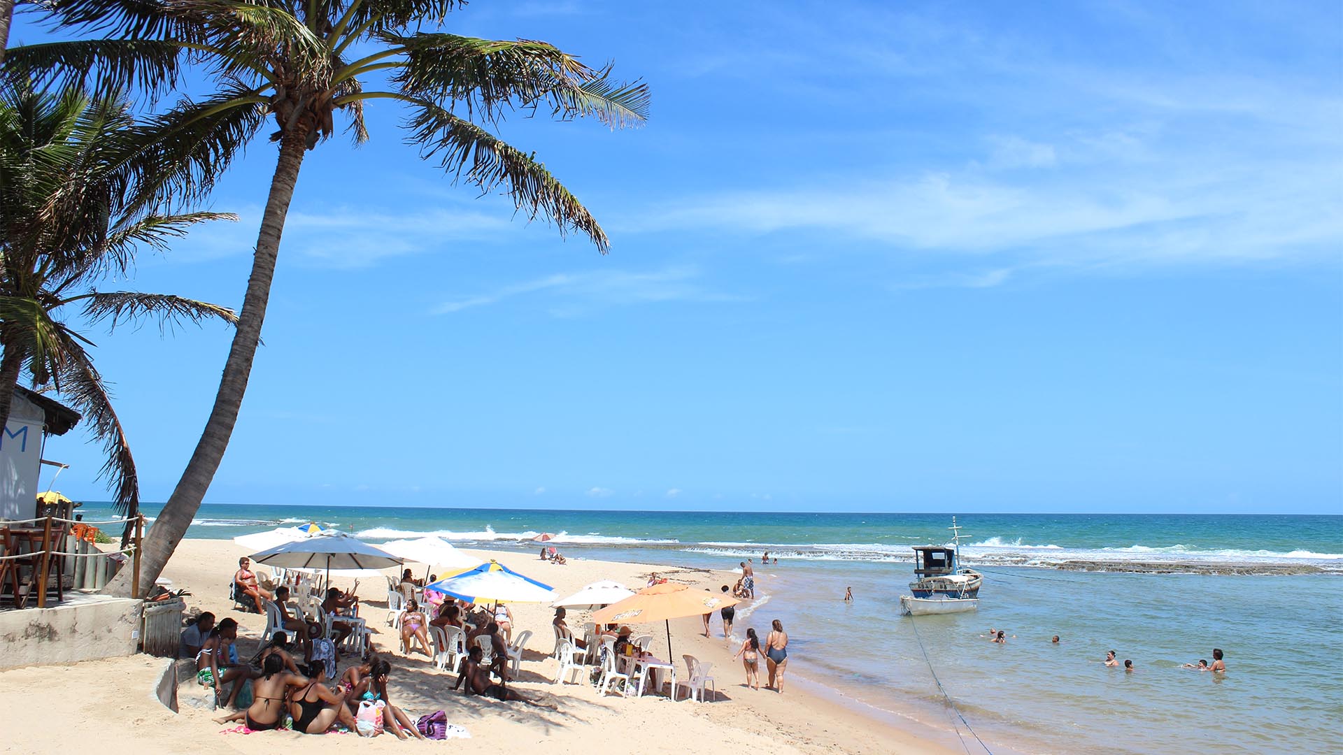 Guia de praias da Bahia: Praia do Forte e Litoral Norte 1
