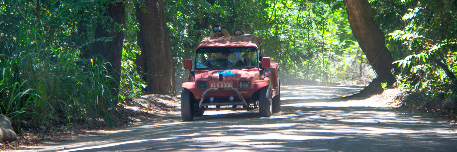 Roteiro de passeios em Porto de Galinhas