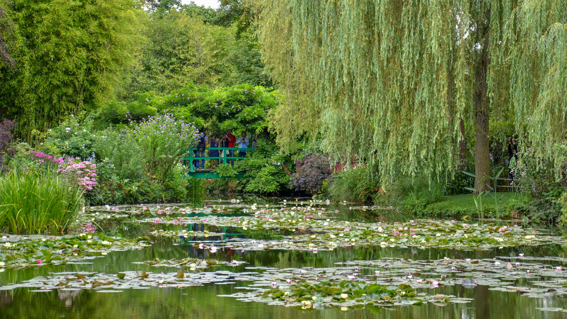 Giverny - lago de ninfeias