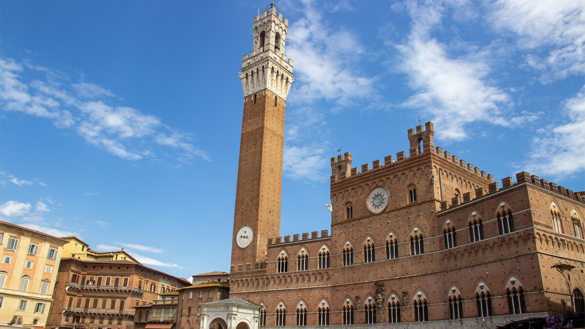 Siena Campo