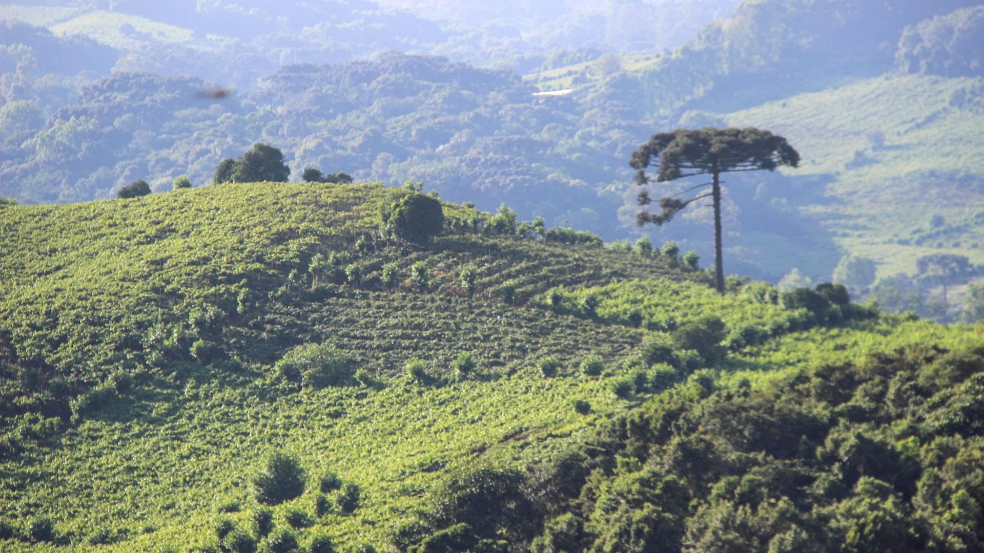 Vista do Spa do Vinho