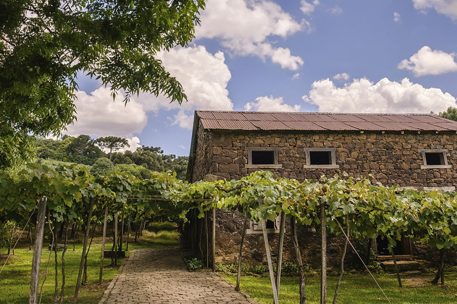 Tour nos Caminhos de Pedra - Bento Gonçalves