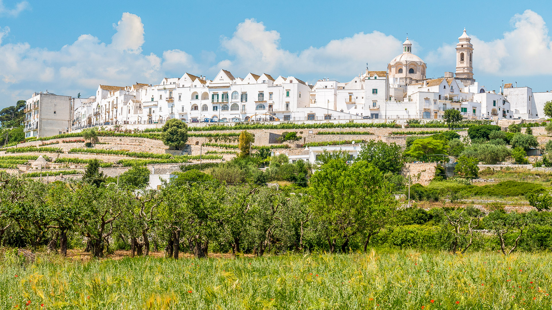 Locorotondo Valle d'Itria Puglia