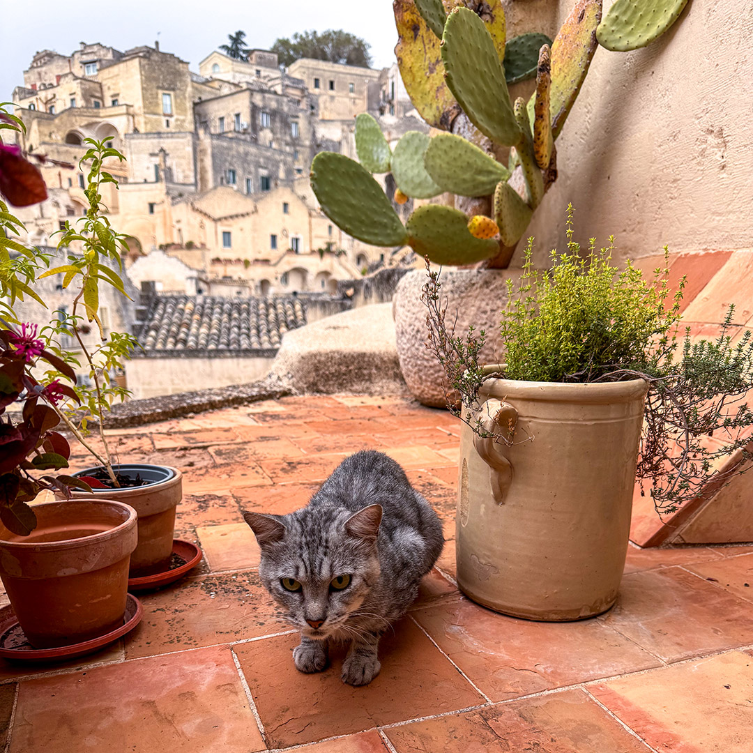 Hotel La Dimora di Metello Matera