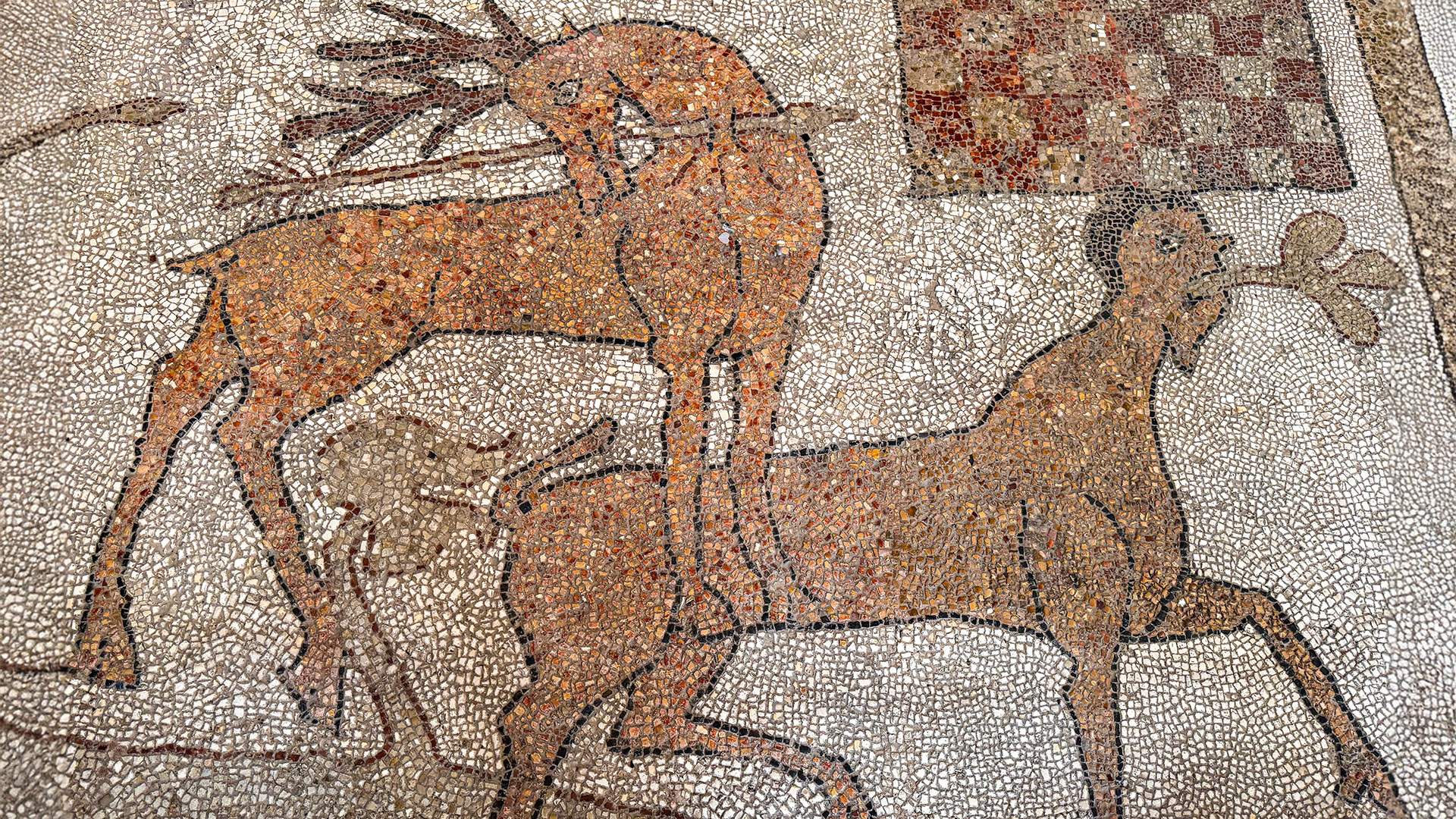 Mosaico da Catedral de Otranto
