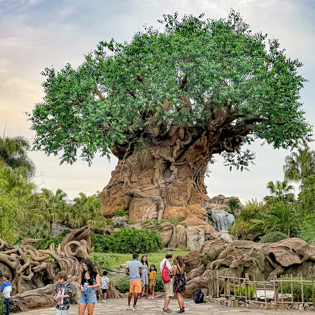 Parques da Disney: guia completo do Walt Disney World 61