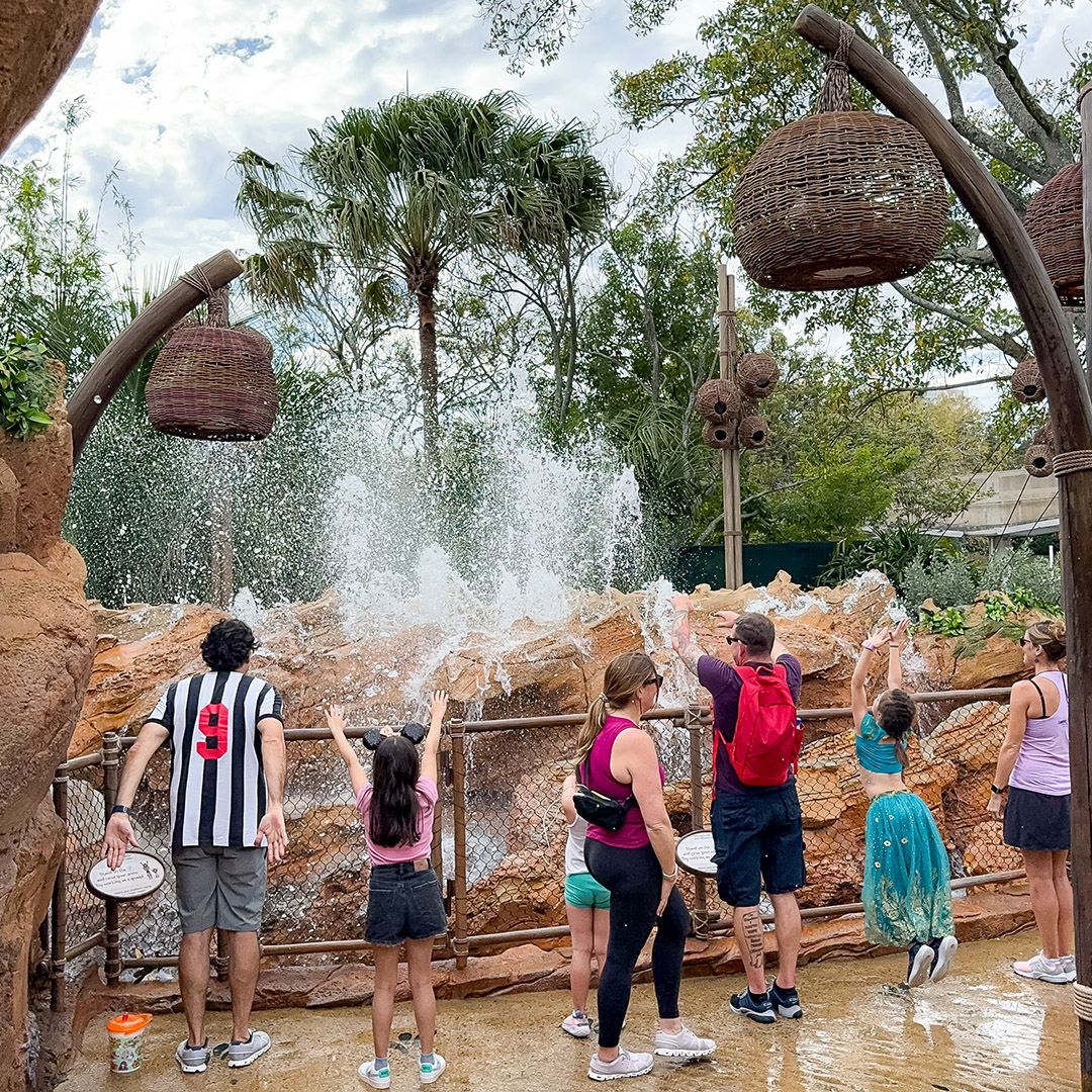 Parques da Disney: guia completo do Walt Disney World 47