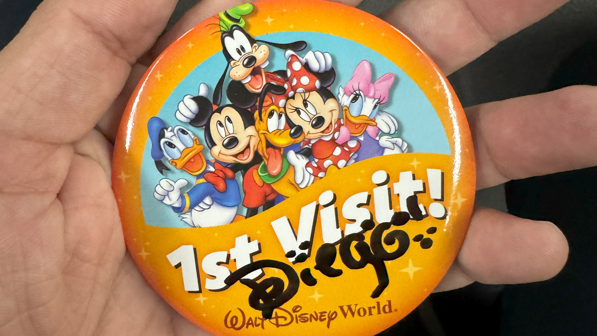 Parques da Disney: guia completo do Walt Disney World 11