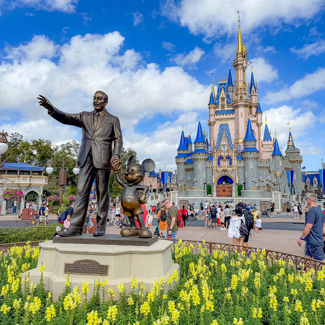 Parques da Disney: guia completo do Walt Disney World 14