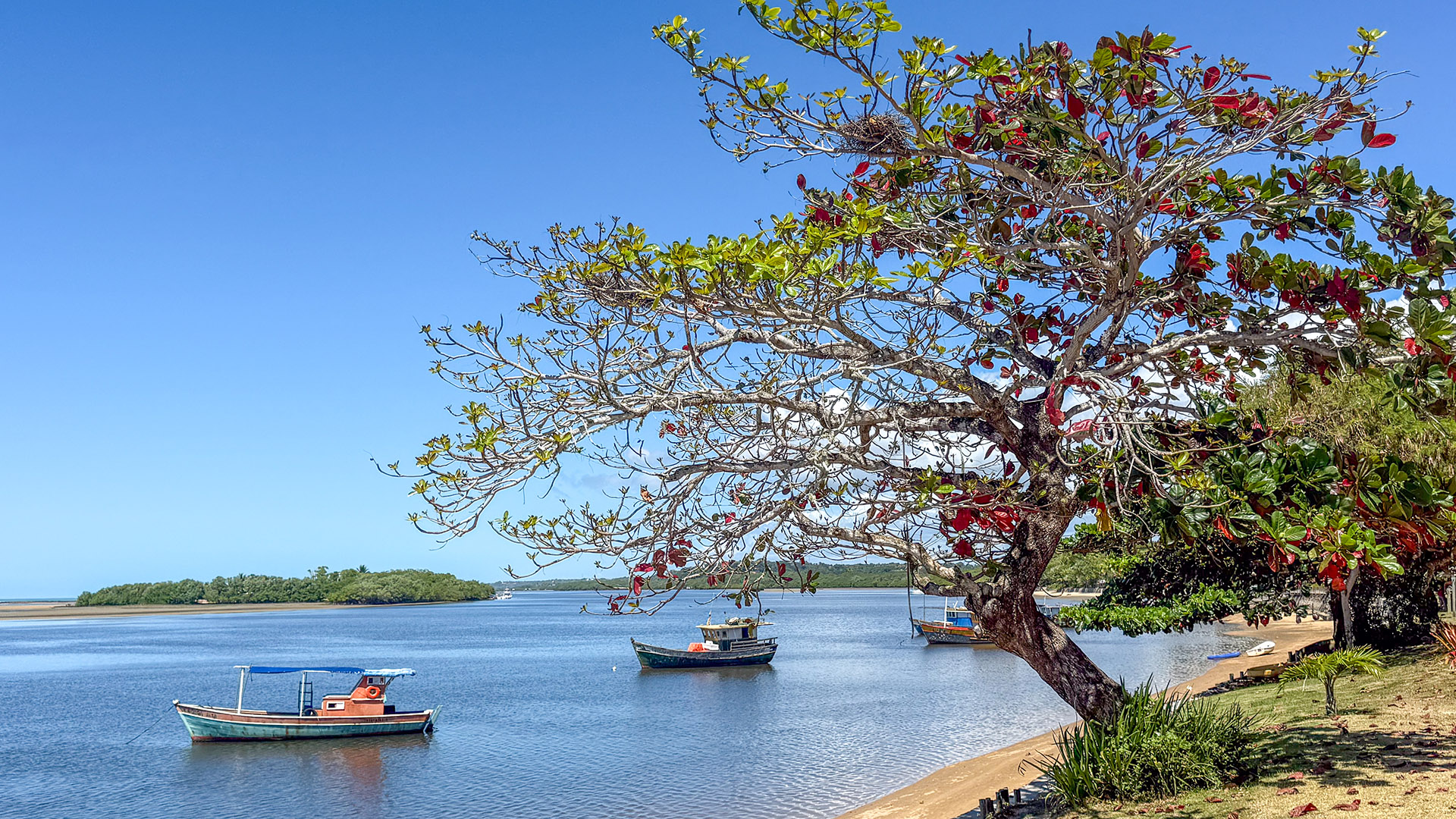 Quando ir a Santo André da Bahia