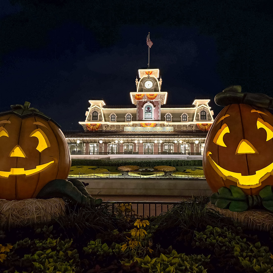 O que fazer em Orlando 11 O que fazer em Orlando 7