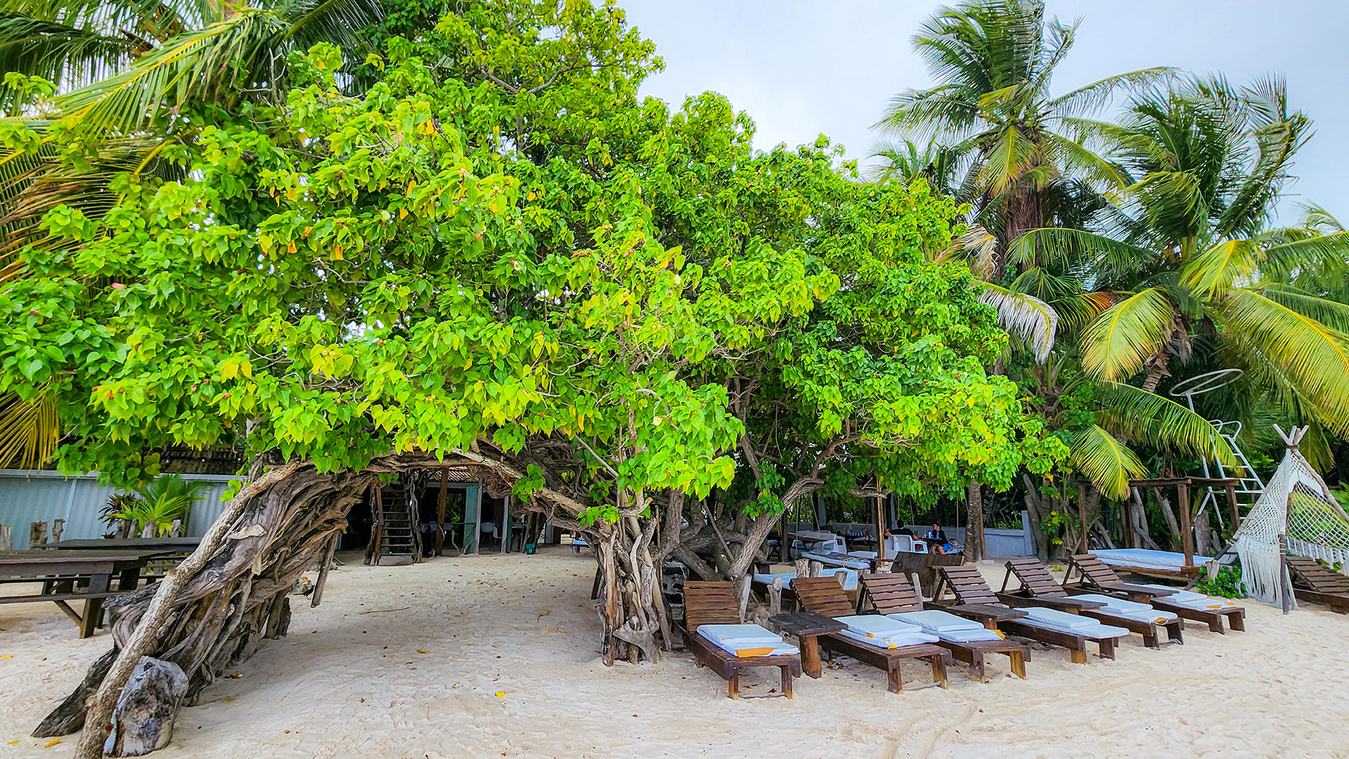 Onde comer em San Andrés 38 Onde comer em San Andrés