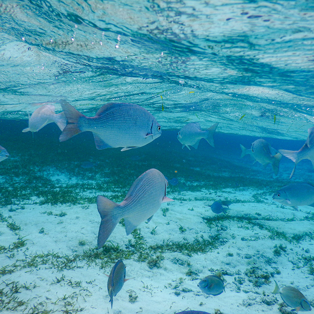 O que fazer em San Andrés 17 O que fazer em San Andrés 13
