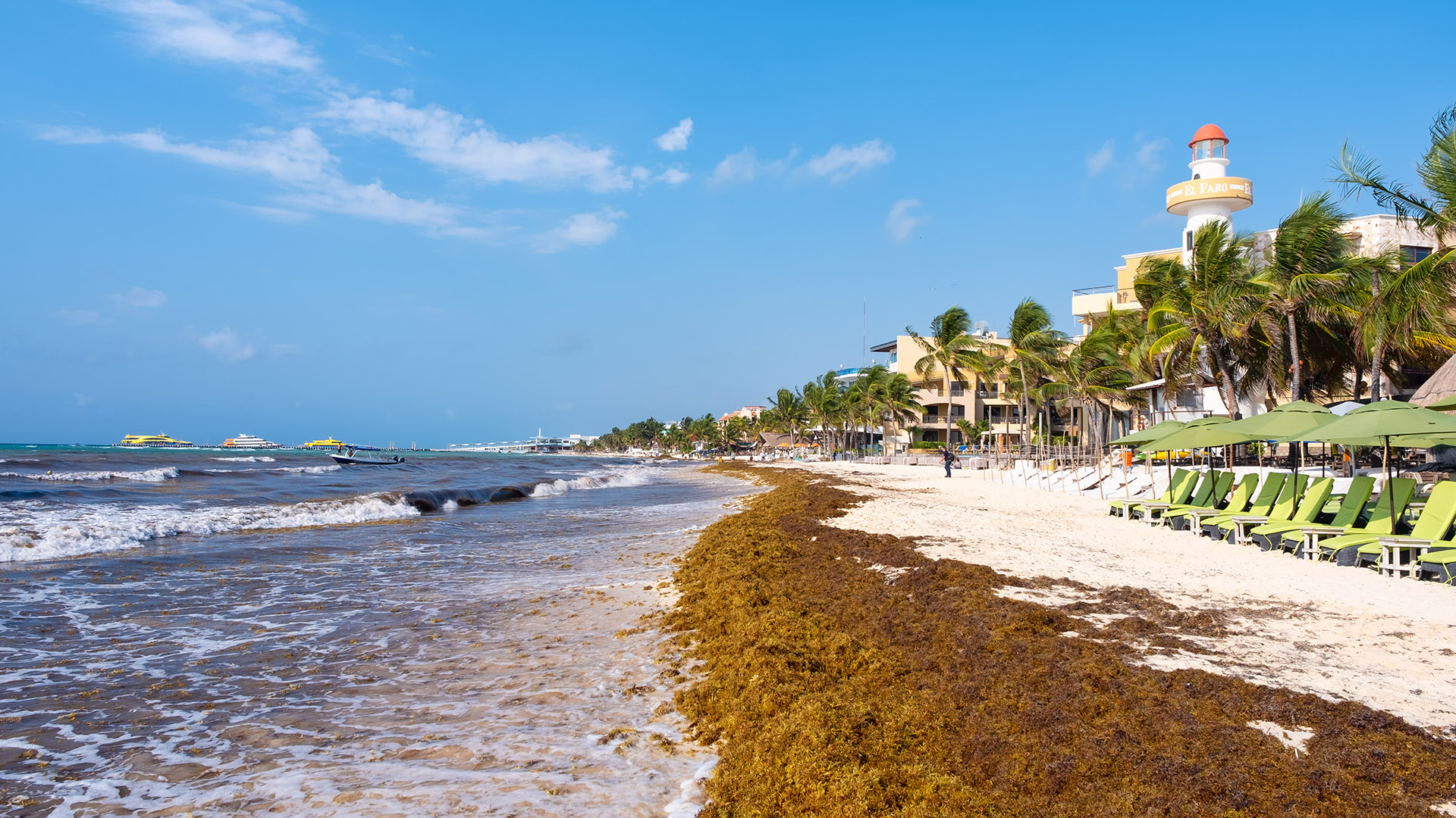 Alerta Caribe: como escapar do sargaço 5 Sargaço em Playa del Carmen