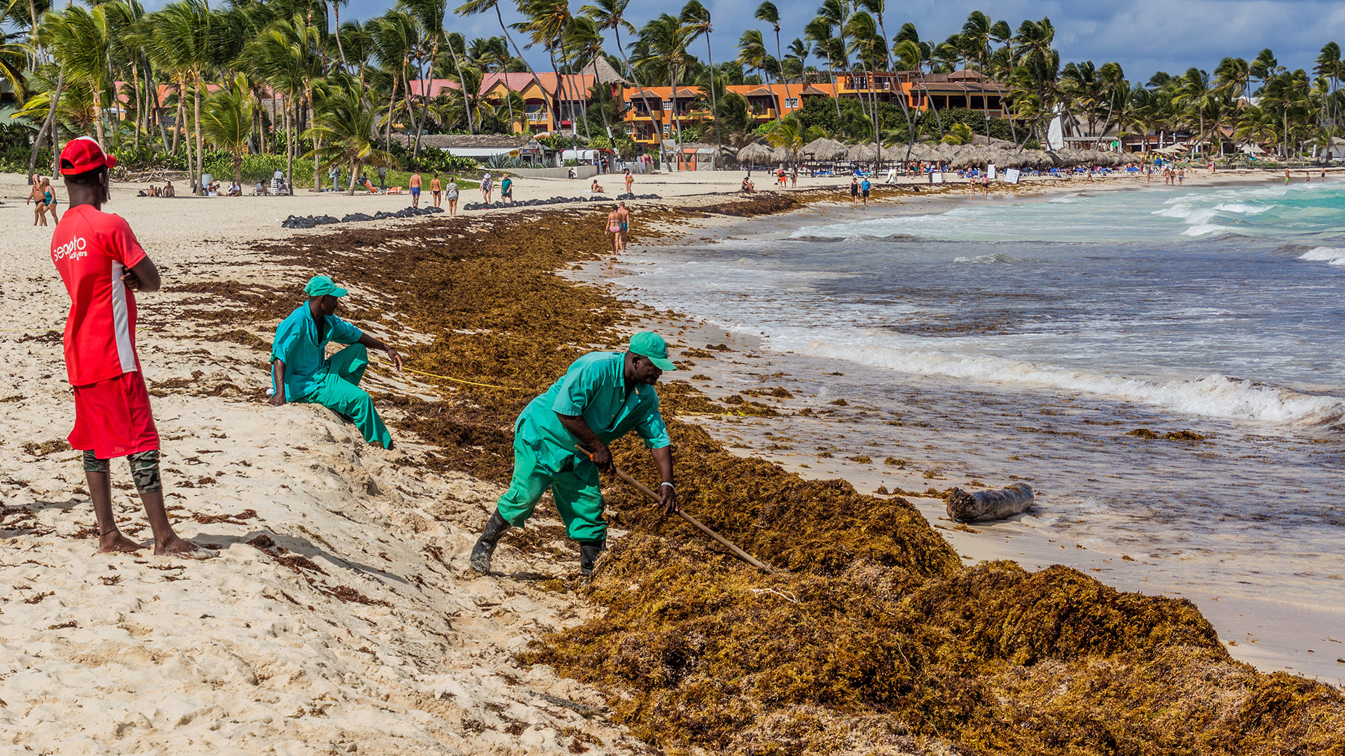Alerta Caribe: como escapar do sargaço 2 Sargaço em Punta Cana