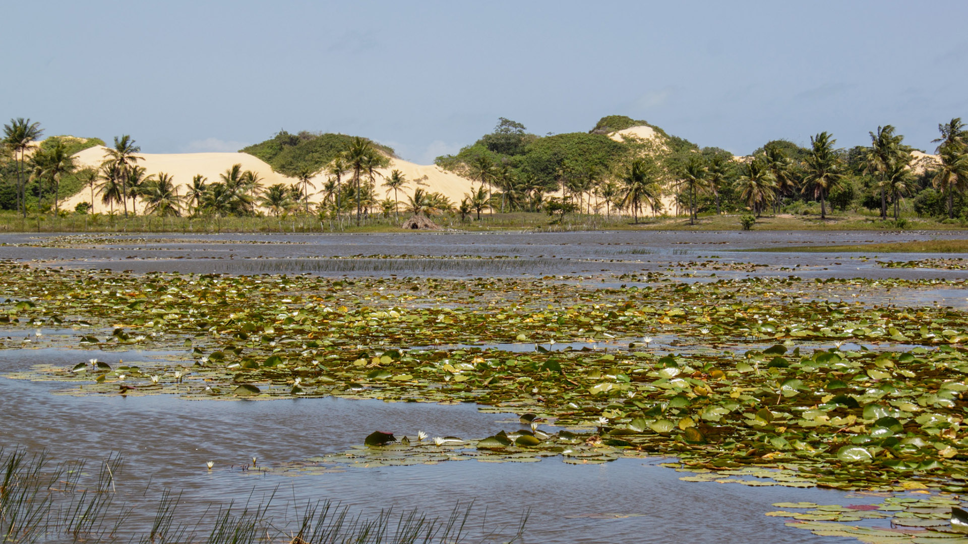 O que fazer em Aracaju 34 O que fazer em Aracaju: Pacatuba